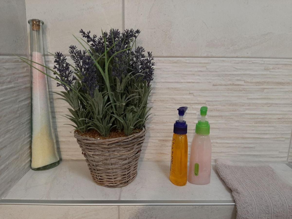 בלגרד Apartment Queen מראה חיצוני תמונה
