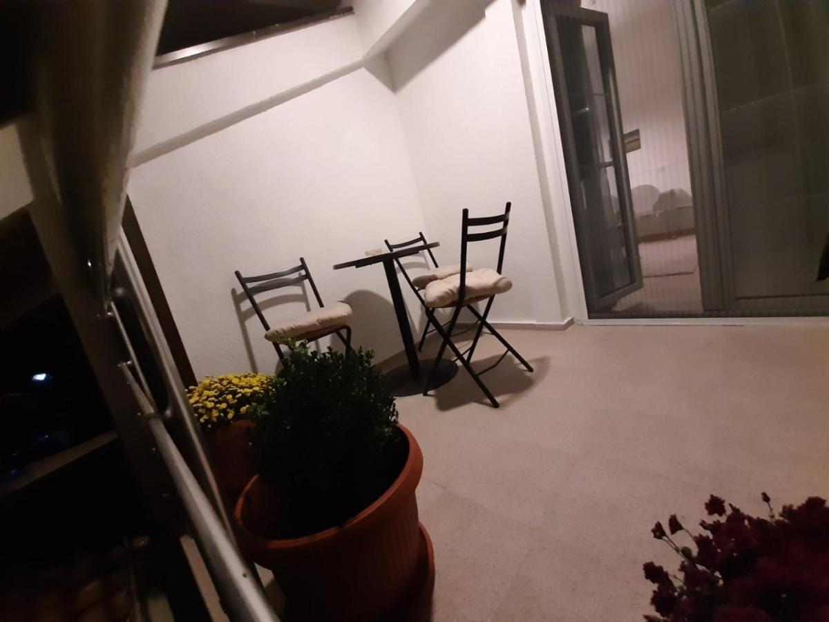 בלגרד Apartment Queen מראה חיצוני תמונה